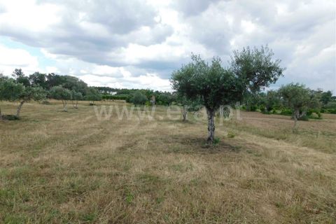 Helårsgrund i Fundao, Castelo Branco, Fundao - € 12.500 | Ref: 255230128 - foto 7