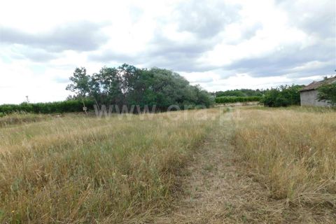 Helårsgrund i Fundao, Castelo Branco, Fundao - € 12.500 | Ref: 255230128 - foto 9