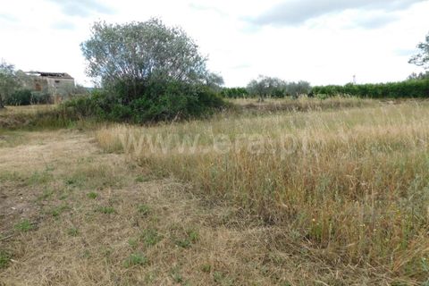 Helårsgrund i Fundao, Castelo Branco, Fundao - € 12.500 | Ref: 255230128 - foto 10