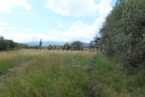 Helårsgrund i Fundao, Castelo Branco, Fundao - € 12.500 | Ref: 255230128 - foto 11