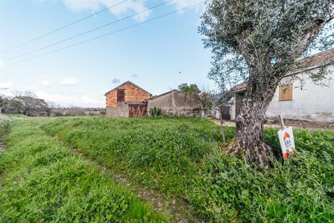 Herregård i Fundao, Castelo Branco, Fundao - € 69 800 | Ref: 255230155 - foto 2