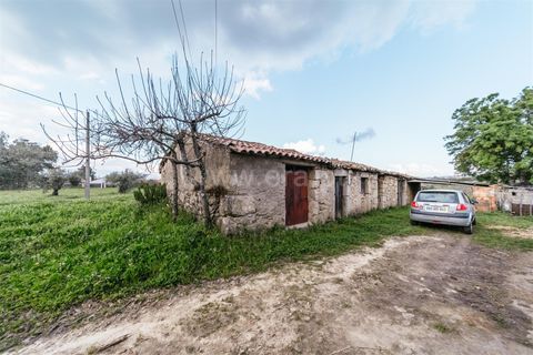 Herregård i Fundao, Castelo Branco, Fundao - € 69 800 | Ref: 255230155 - foto 4