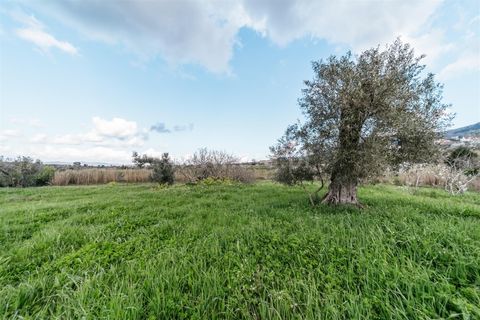 Herregård i Fundao, Castelo Branco, Fundao - € 69 800 | Ref: 255230155 - foto 7