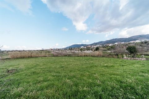 Herregård i Fundao, Castelo Branco, Fundao - € 69 800 | Ref: 255230155 - foto 8