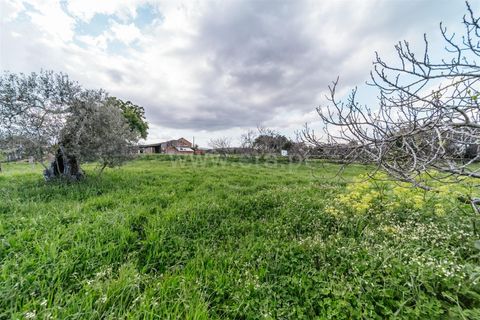 Herregård i Fundao, Castelo Branco, Fundao - € 69 800 | Ref: 255230155 - foto 9