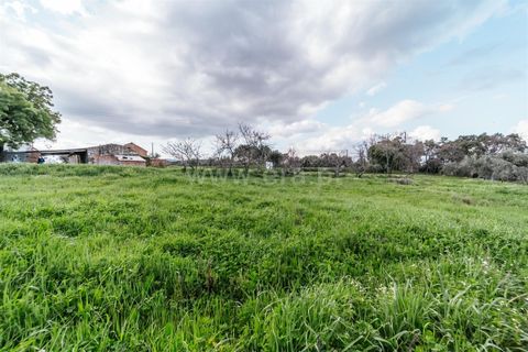 Herregård i Fundao, Castelo Branco, Fundao - € 69 800 | Ref: 255230155 - foto 10