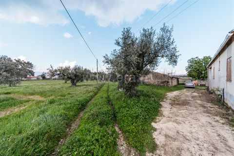 Herregård i Fundao, Castelo Branco, Fundao - € 69 800 | Ref: 255230155 - foto 15