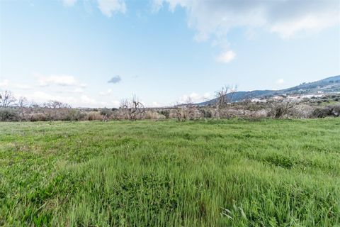 Herregård i Fundao, Castelo Branco, Fundao - € 69 800 | Ref: 255230155 - foto 18