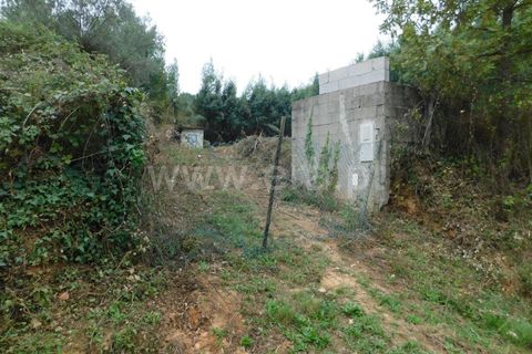 Helårsgrund i Fundao, Castelo Branco, Fundao - € 37.500 | Ref: 255230185 - foto 2
