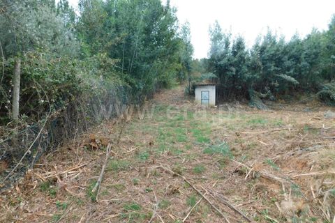Helårsgrund i Fundao, Castelo Branco, Fundao - € 37.500 | Ref: 255230185 - foto 4