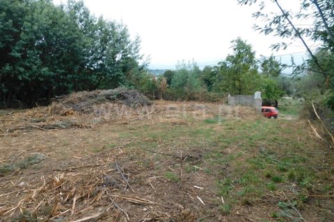 Helårsgrund i Fundao, Castelo Branco, Fundao - € 37.500 | Ref: 255230185 - foto 5