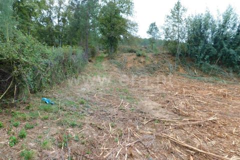 Helårsgrund i Fundao, Castelo Branco, Fundao - € 37.500 | Ref: 255230185 - foto 8