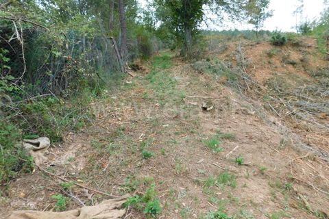 Helårsgrund i Fundao, Castelo Branco, Fundao - € 37.500 | Ref: 255230185 - foto 9