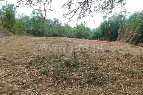 Helårsgrund i Fundao, Castelo Branco, Fundao - € 37.500 | Ref: 255230185 - foto 11