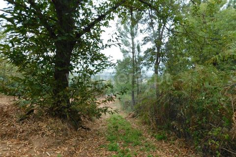 Helårsgrund i Fundao, Castelo Branco, Fundao - € 37.500 | Ref: 255230185 - foto 12