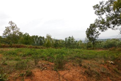 Helårsgrund i Fundao, Castelo Branco, Fundao - € 37.500 | Ref: 255230185 - foto 13