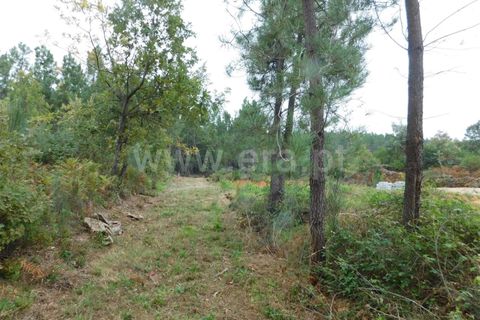 Helårsgrund i Fundao, Castelo Branco, Fundao - € 37.500 | Ref: 255230185 - foto 15