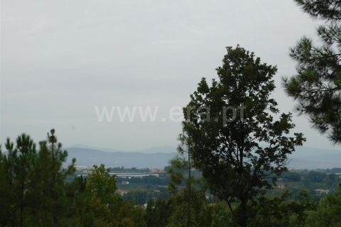 Helårsgrund i Fundao, Castelo Branco, Fundao - € 37.500 | Ref: 255230185 - foto 16