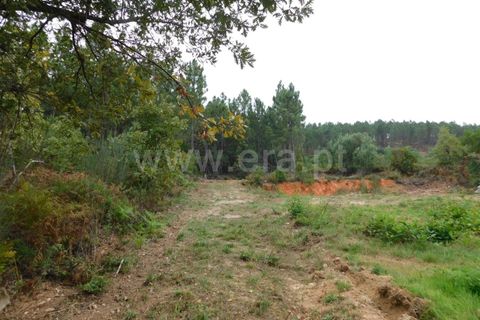 Helårsgrund i Fundao, Castelo Branco, Fundao - € 37.500 | Ref: 255230185 - foto 17