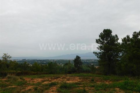Helårsgrund i Fundao, Castelo Branco, Fundao - € 37.500 | Ref: 255230185 - foto 19