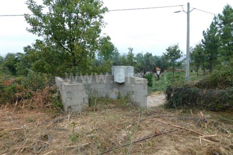 Helårsgrund i Fundao, Castelo Branco, Fundao - € 37.500 | Ref: 255230185 - foto 21