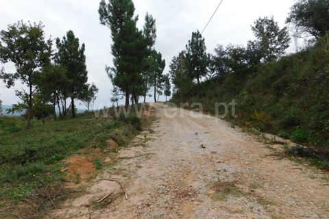 Helårsgrund i Fundao, Castelo Branco, Fundao - € 37.500 | Ref: 255230185 - foto 22