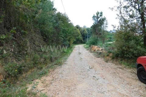 Helårsgrund i Fundao, Castelo Branco, Fundao - € 37.500 | Ref: 255230185 - foto 23