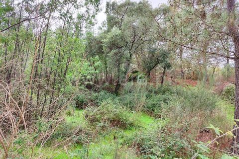Helårsgrund i Fundao, Castelo Branco, Fundao - € 43.500 | Ref: 255230207 - foto 3