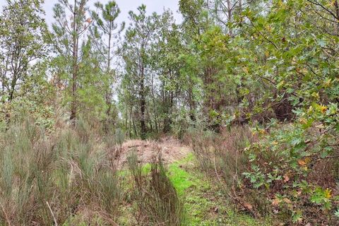 Helårsgrund i Fundao, Castelo Branco, Fundao - € 43.500 | Ref: 255230207 - foto 4