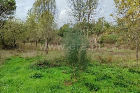 Helårsgrund i Fundao, Castelo Branco, Fundao - € 43.500 | Ref: 255230207 - foto 5