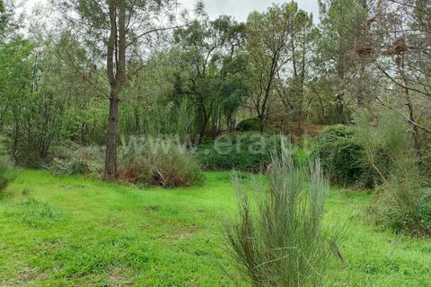 Helårsgrund i Fundao, Castelo Branco, Fundao - € 43.500 | Ref: 255230207 - foto 6