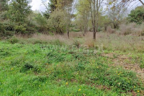 Helårsgrund i Fundao, Castelo Branco, Fundao - € 43.500 | Ref: 255230207 - foto 7