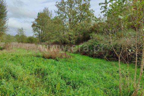 Helårsgrund i Fundao, Castelo Branco, Fundao - € 43.500 | Ref: 255230207 - foto 9