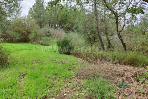 Helårsgrund i Fundao, Castelo Branco, Fundao - € 43.500 | Ref: 255230207 - foto 10