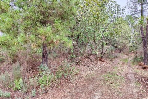 Helårsgrund i Fundao, Castelo Branco, Fundao - € 43.500 | Ref: 255230207 - foto 11