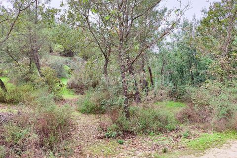 Helårsgrund i Fundao, Castelo Branco, Fundao - € 43.500 | Ref: 255230207 - foto 12