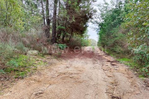 Helårsgrund i Fundao, Castelo Branco, Fundao - € 43.500 | Ref: 255230207 - foto 13