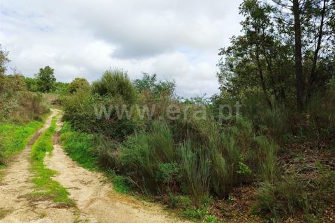Helårsgrund i Fundao, Castelo Branco, Fundao - € 43.500 | Ref: 255230207 - foto 14