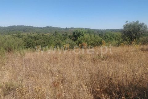 Tomt i Fundao, Castelo Branco, Fundao - € 17 500 | Ref: 255230196 - foto 2