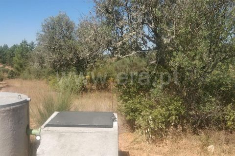 Helårsgrund i Fundao, Castelo Branco, Fundao - € 15.000 | Ref: 255230175 - foto 2