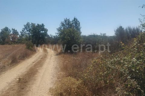 Helårsgrund i Fundao, Castelo Branco, Fundao - € 15.000 | Ref: 255230175 - foto 3