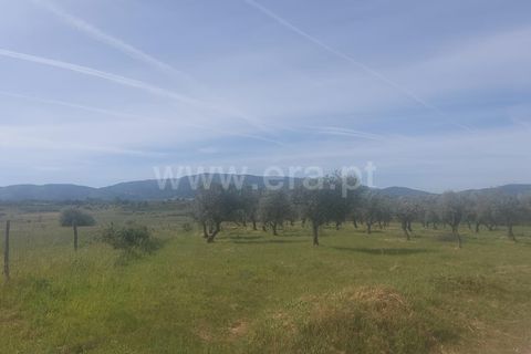 Tomt i Fundao, Castelo Branco, Fundao - € 49 000 | Ref: 255240095 - foto 2