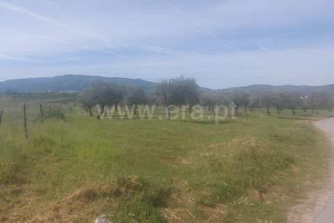 Tomt i Fundao, Castelo Branco, Fundao - € 49 000 | Ref: 255240095 - foto 3