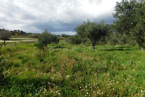 Landejendom i Fundao, Castelo Branco, Fundao - € 29.500 | Ref: 255240068 - foto 1