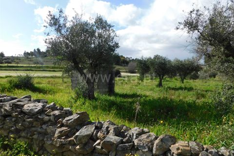 Landejendom i Fundao, Castelo Branco, Fundao - € 29.500 | Ref: 255240068 - foto 2