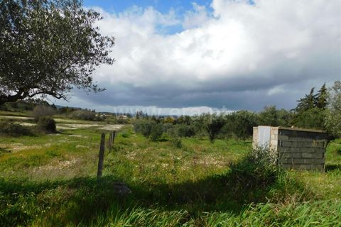 Landejendom i Fundao, Castelo Branco, Fundao - € 29.500 | Ref: 255240068 - foto 3