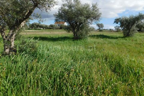 Landejendom i Fundao, Castelo Branco, Fundao - € 29.500 | Ref: 255240068 - foto 4