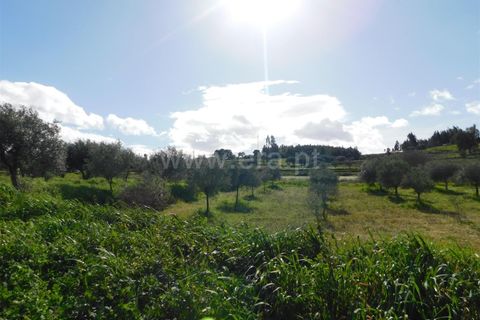 Landejendom i Fundao, Castelo Branco, Fundao - € 29.500 | Ref: 255240068 - foto 6