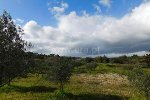 Landejendom i Fundao, Castelo Branco, Fundao - € 29.500 | Ref: 255240068 - foto 7