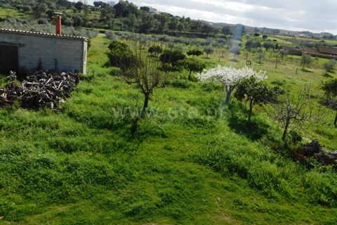 Gård i Fundao, Castelo Branco, Fundao - € 200 000 | Ref: 255240067 - foto 2